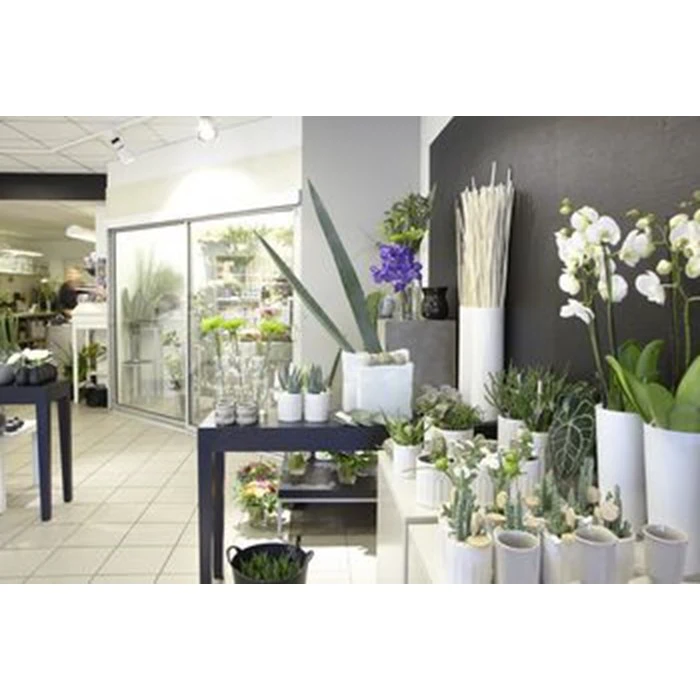 Gavekort á 200,- til Acacia Skjern